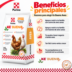 Purina Ke Bueno Aves Beneficios