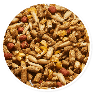 Purina Omolene 400 Power - Llabana