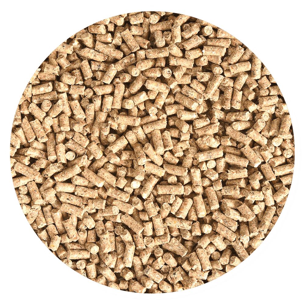 Purina Omolin Tradicional - Llabana