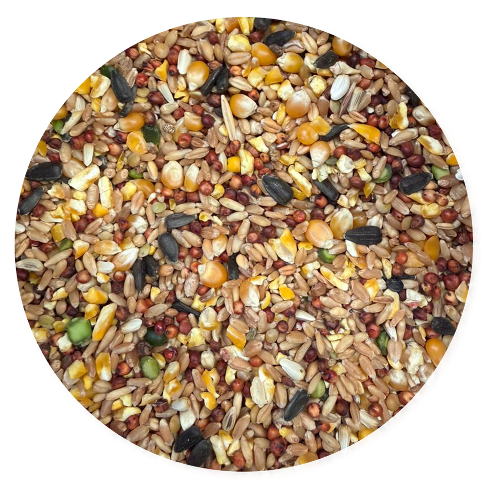 Purina Templanza Granos Select