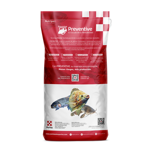 Nutripec N-Desarrollo 2.4-40 | Alimento para tilapia y bagre