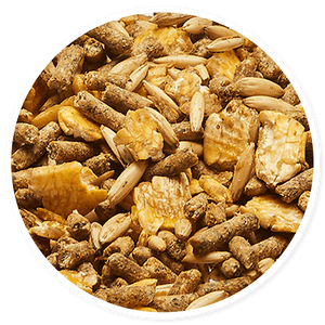 Purina Omolene 300 Dúo - Llabana