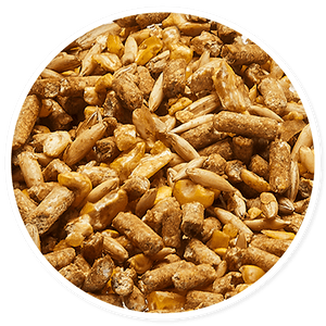 Purina Omolene 350 Invictus - Llabana