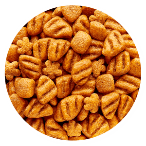 Croquetas Dog Chow Adultos Minis y Pequeños - Llabana
