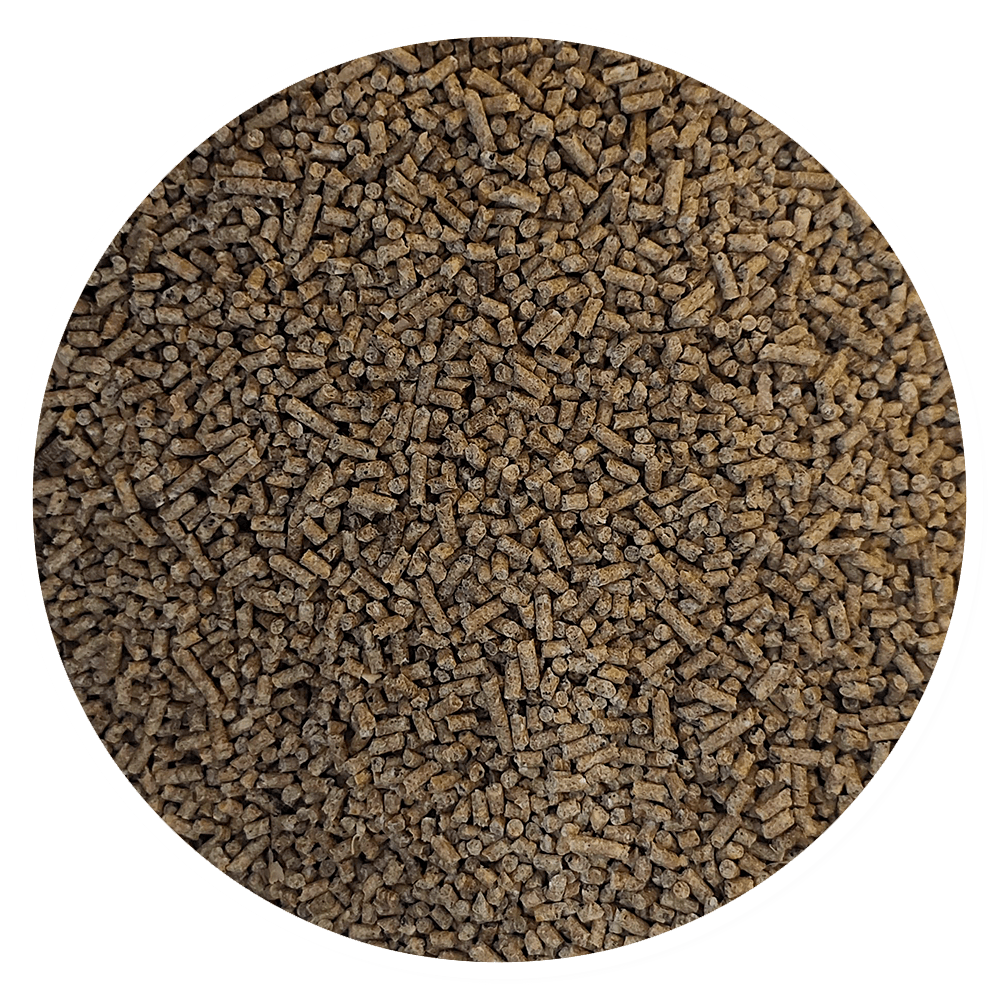 Purina Templanza Pelea Startina 2 - Llabana