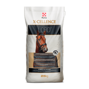 X-Cellence Lord - Llabana